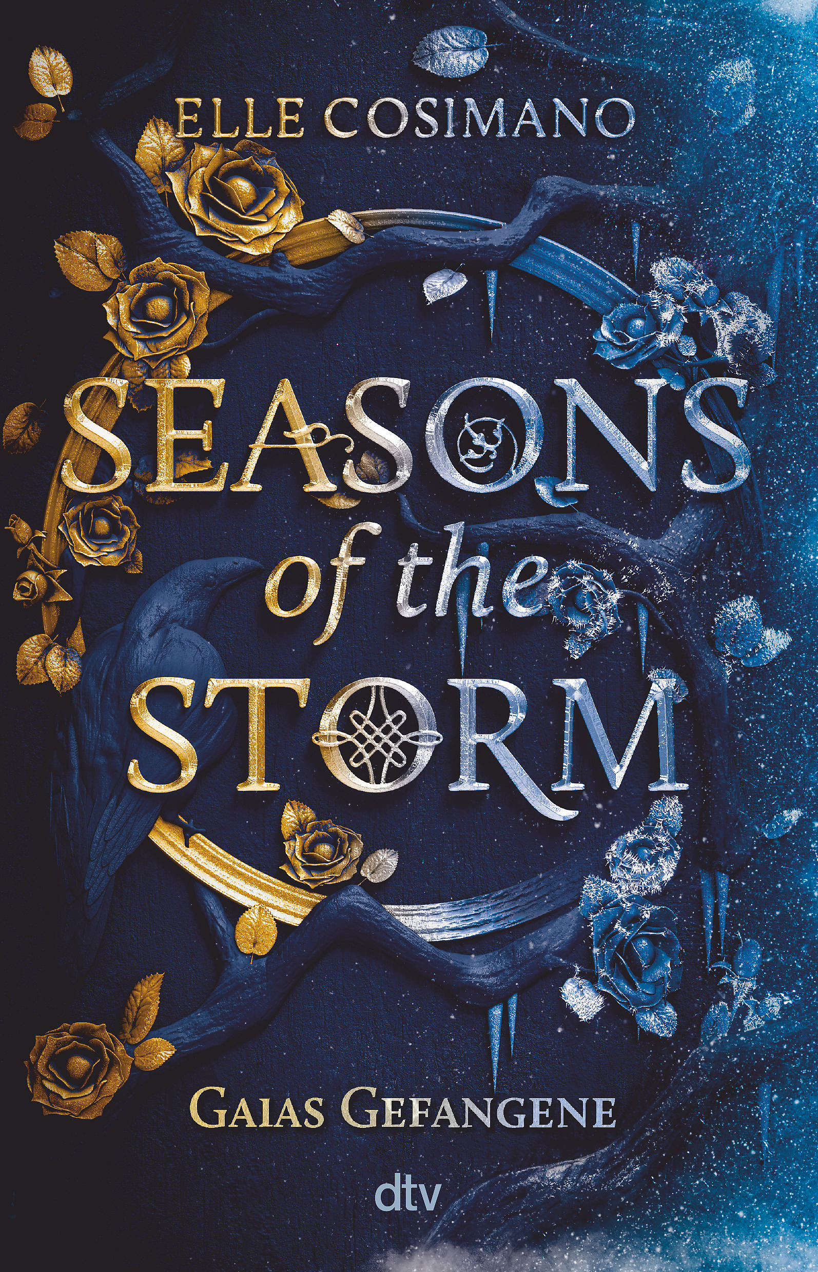 Buchcover zu Seasons of the Storm